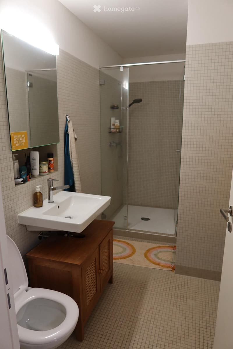Modern bathroom with a white sink, wooden cabinet, toilet, glass-enclosed shower, and a colorful rug on the floor.