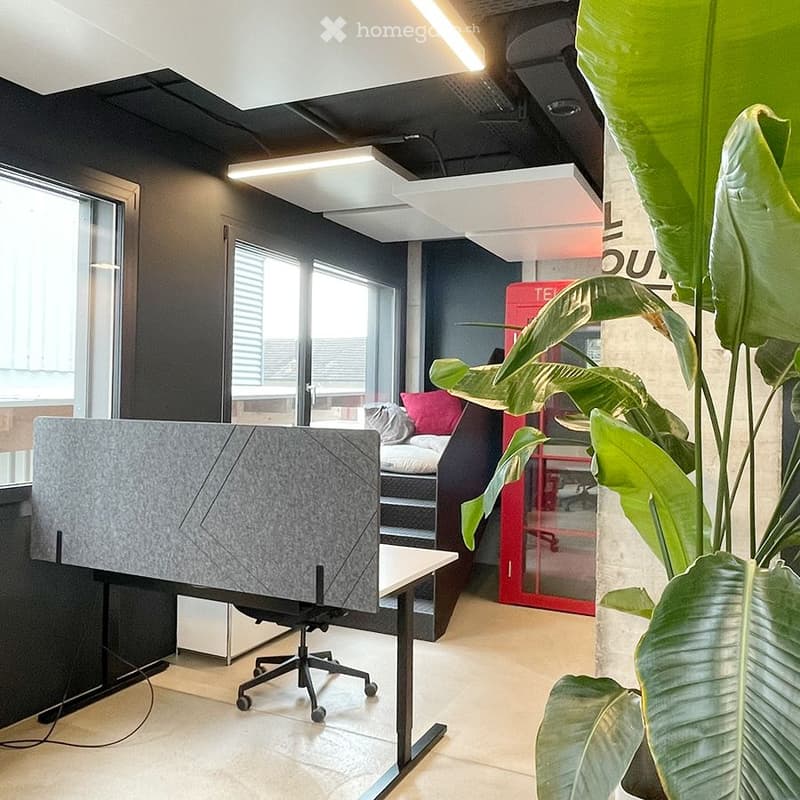 Modern office space with a large plant, office chair, screen partition, small table, and a comfortable sofa with a pillow in the background.