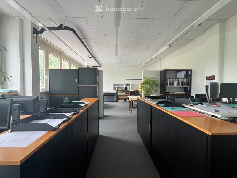 Modern office space with desks, chairs, computers, cabinets, and plants.