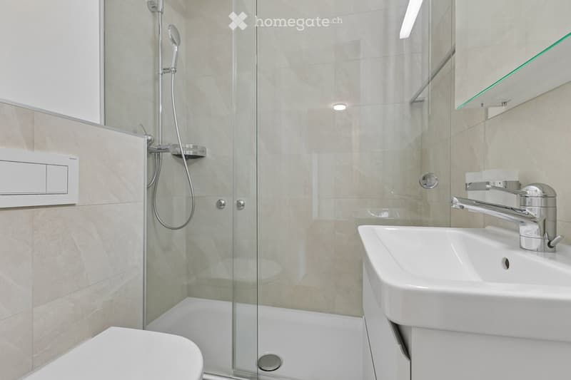 Modern bathroom with a glass-enclosed shower, a white toilet, a sink with a modern faucet, and a mirrored cabinet.