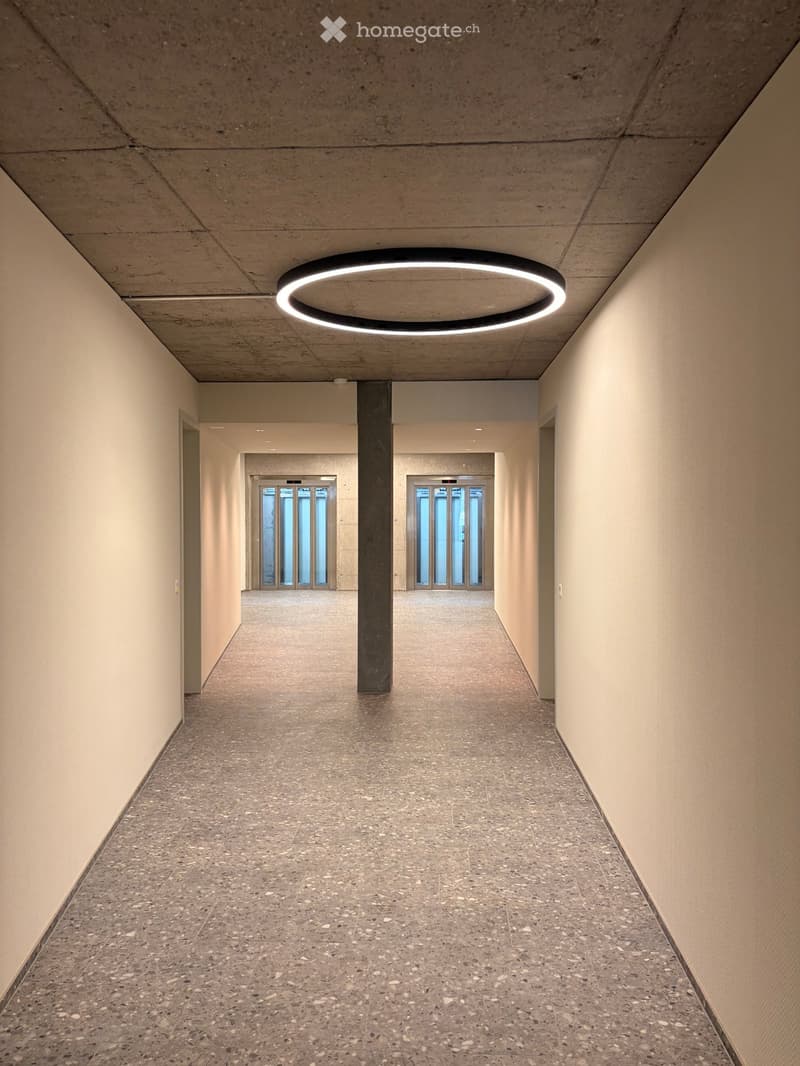 Modern hallway with a circular ceiling light, polished concrete floor, and neutral-colored walls.