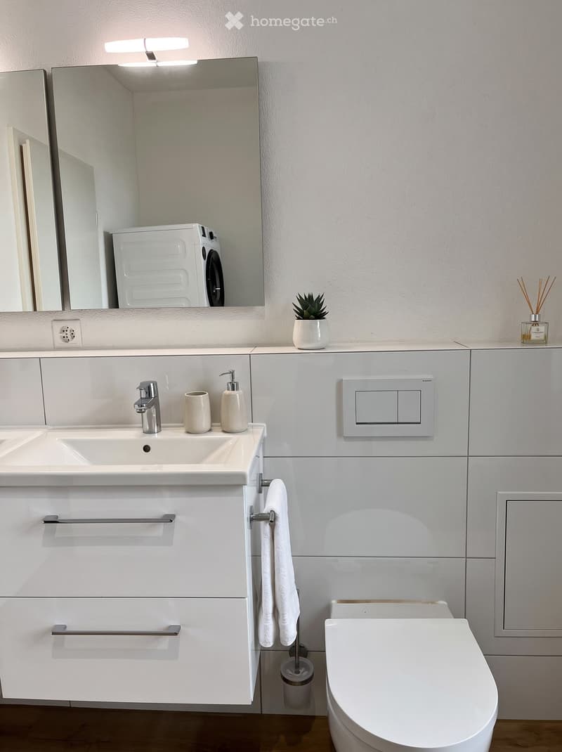 Modern bathroom with a white sink, mirror, toilet, and a washing machine reflected in the mirror. The sink has a modern faucet and a soap dispenser, with a towel hanging on a rack. A small plant and a diffuser are on the countertop.
