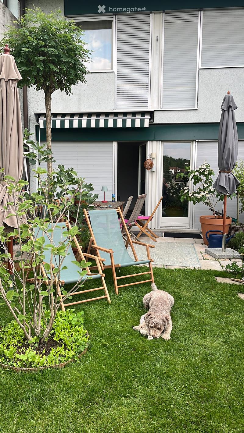 Garden area with green grass, small dog, two wooden folding chairs, small table, potted plants, and a house entrance with striped awning.