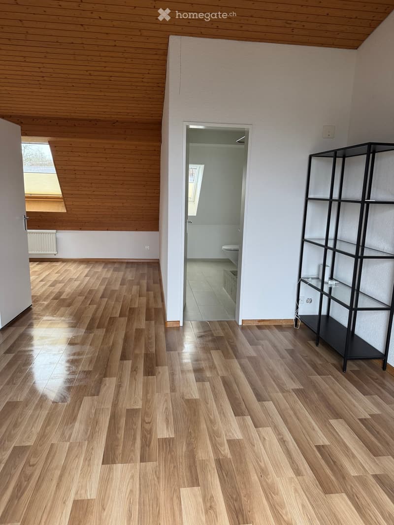 Empty room with wooden flooring, white walls, and a black shelving unit. A doorway leads to a bathroom with a toilet and tiled floor.