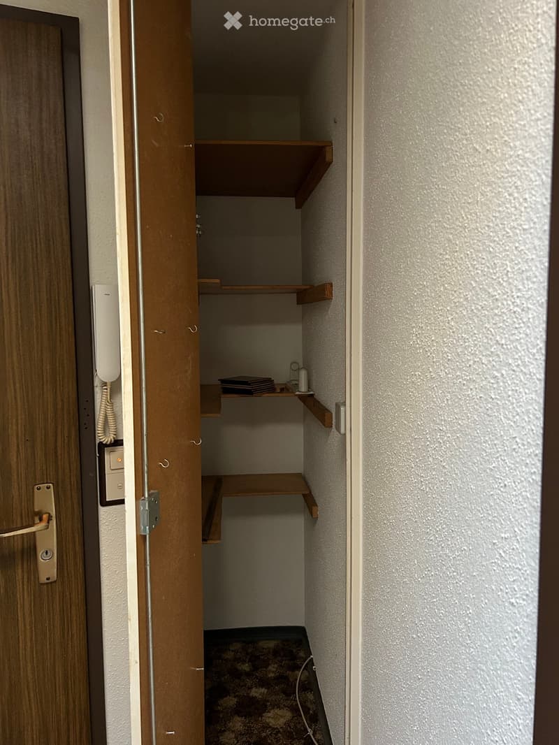 Empty closet with wooden shelves and a small carpeted floor area.