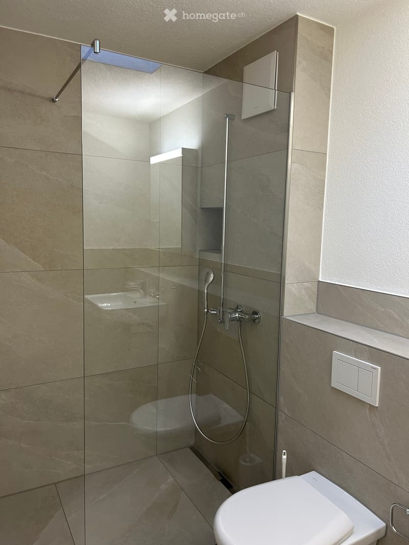 Modern bathroom with a glass-enclosed shower, toilet, and sleek fixtures.
