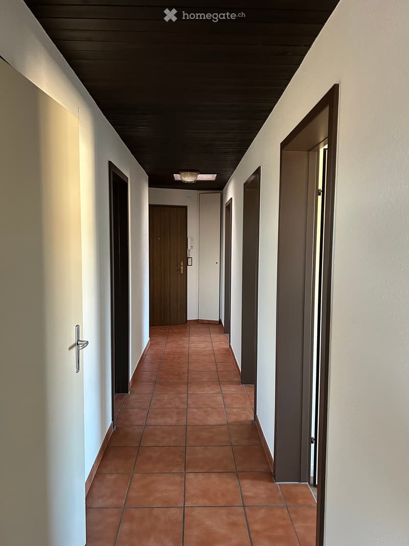 A long, narrow hallway with terracotta tiled flooring, white walls, and several closed doors on both sides. The ceiling features a dark wooden panel design with a central light fixture.