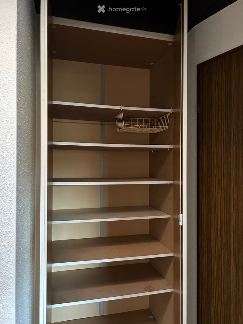 Empty closet with multiple shelves and a small wire basket on one shelf.