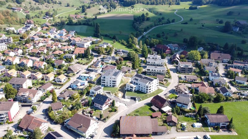 Aerial view of a residential area with numerous houses, green fields, and trees. The houses have varied architectural styles and are surrounded by well-maintained lawns and gardens.