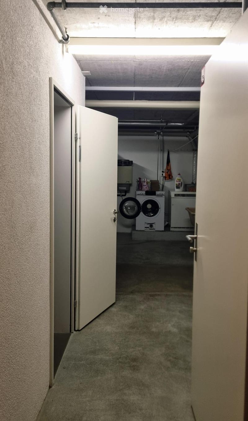 A narrow hallway with carpeted flooring and white walls, leading to a laundry area with a washing machine and dryer visible in the background.