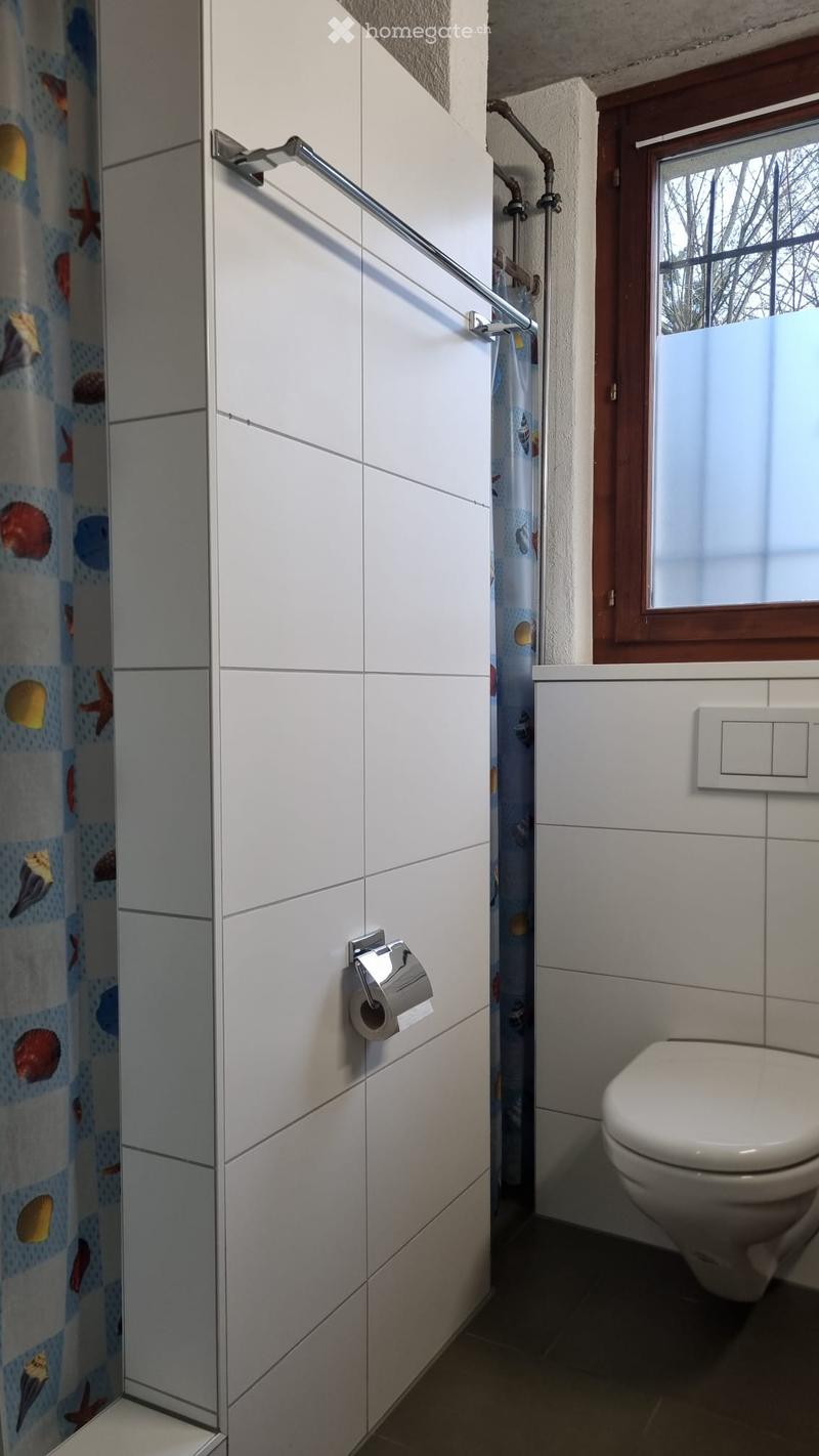 Modern bathroom with white tiles, a toilet, a toilet paper holder, a shower curtain, and a shower rail.
