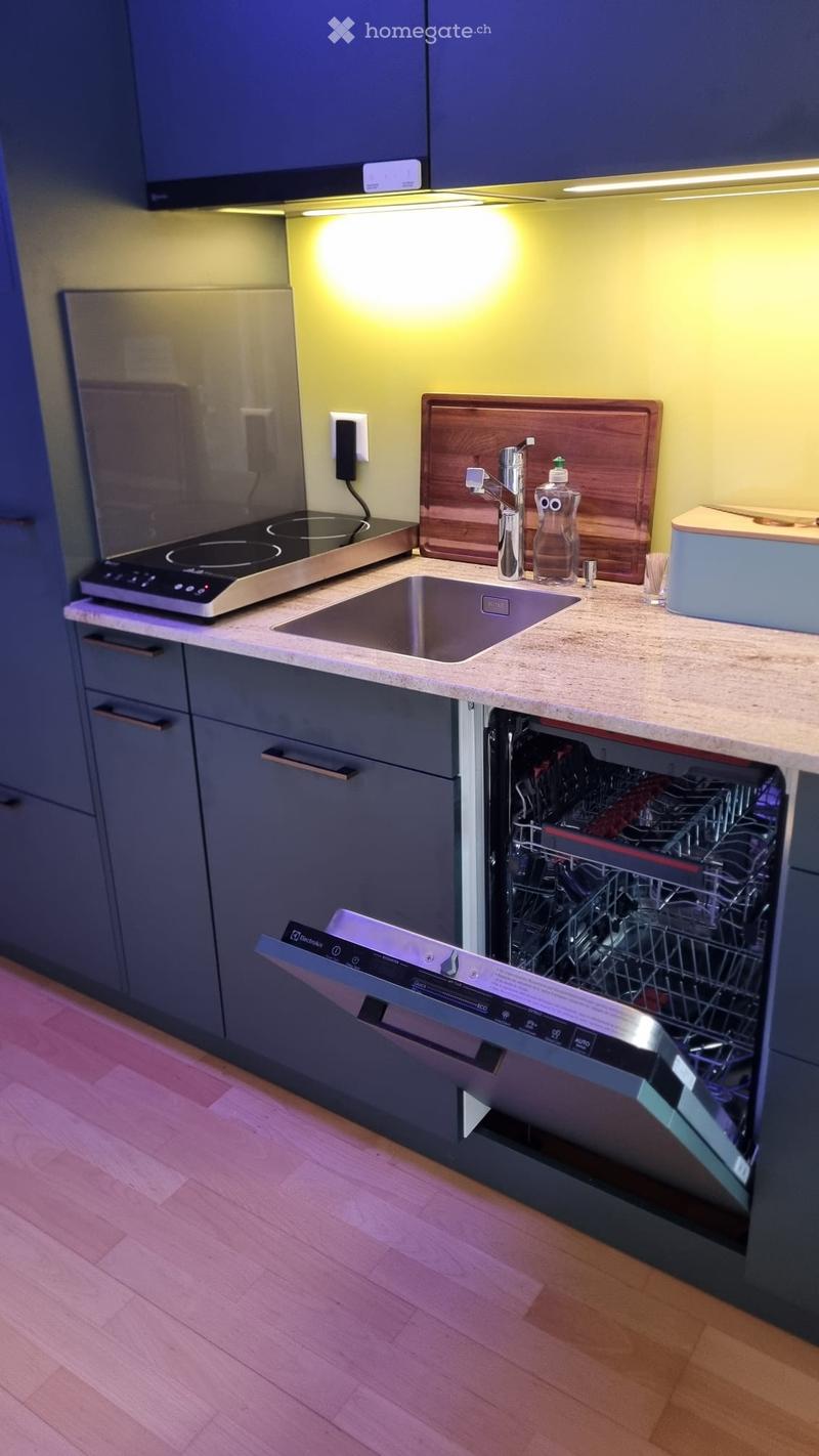 Modern kitchen with dark grey cabinets, a stainless steel induction stove, a sink with a modern faucet, and an open dishwasher. The countertop features a wooden cutting board, a bottle, and a toothbrush holder.