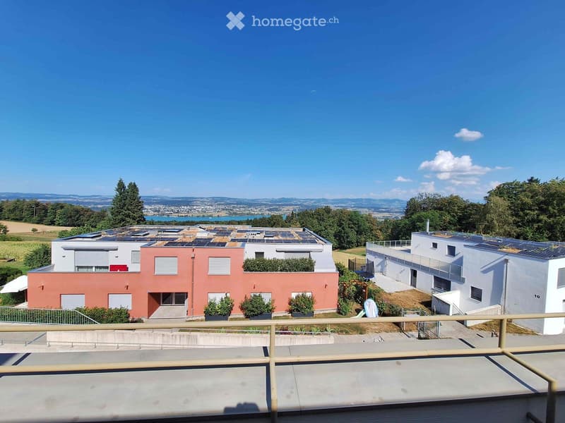 View of modern residential buildings with solar panels on the roofs, surrounded by greenery and a scenic lake view in the background.