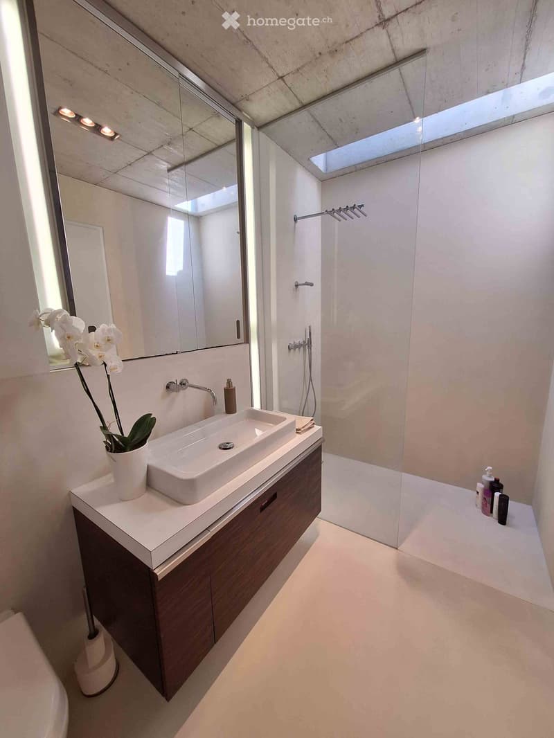 Modern bathroom with a white sink, dark wooden cabinet, large mirror, and a glass-enclosed shower area with a skylight above.