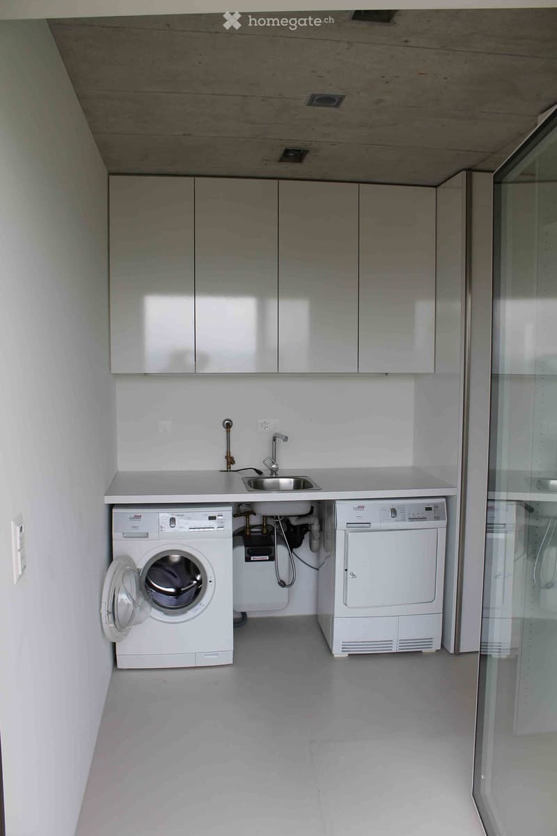 Modern bathroom with a washing machine, dishwasher, sink, and cabinets.
