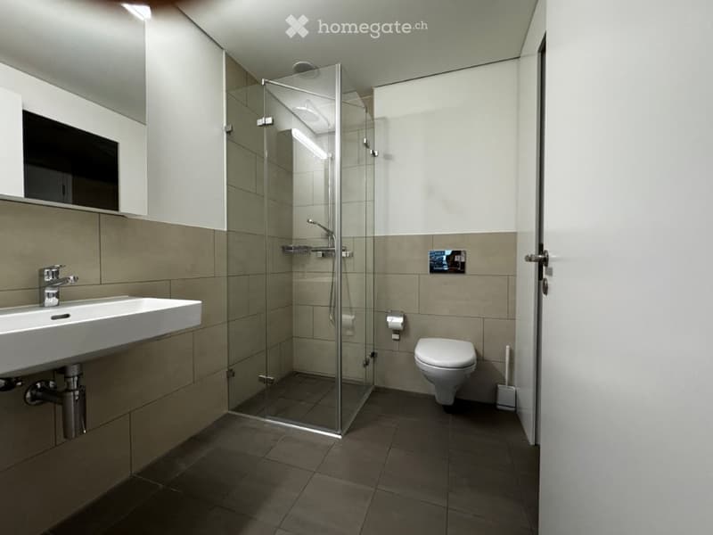 Modern bathroom with a glass-enclosed shower, a white sink with a chrome faucet, a toilet, and a toilet brush holder. The walls are tiled in beige and grey, and the floor is dark tiled.
