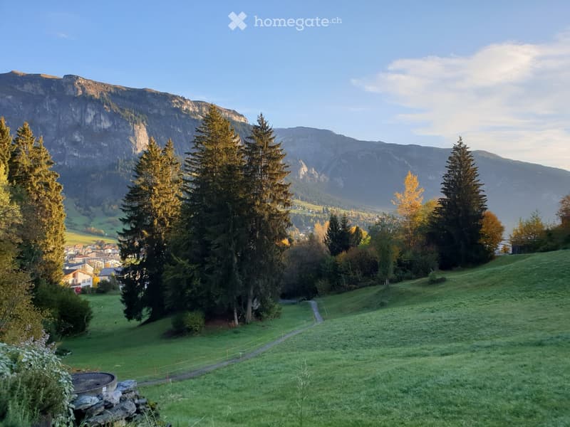 A scenic outdoor view of a lush green meadow surrounded by tall trees, with a small village and distant mountains in the background.