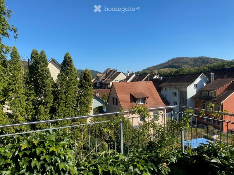 Balcony overlooking a residential neighborhood with multiple houses, trees, and a distant hill under a clear blue sky.