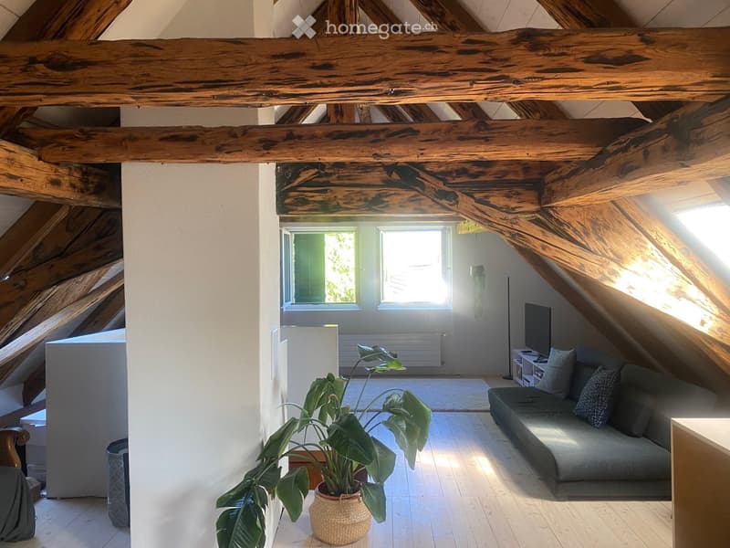 Loft-style living room with exposed wooden beams, large windows, a grey sofa, a potted plant, and a television on a stand.