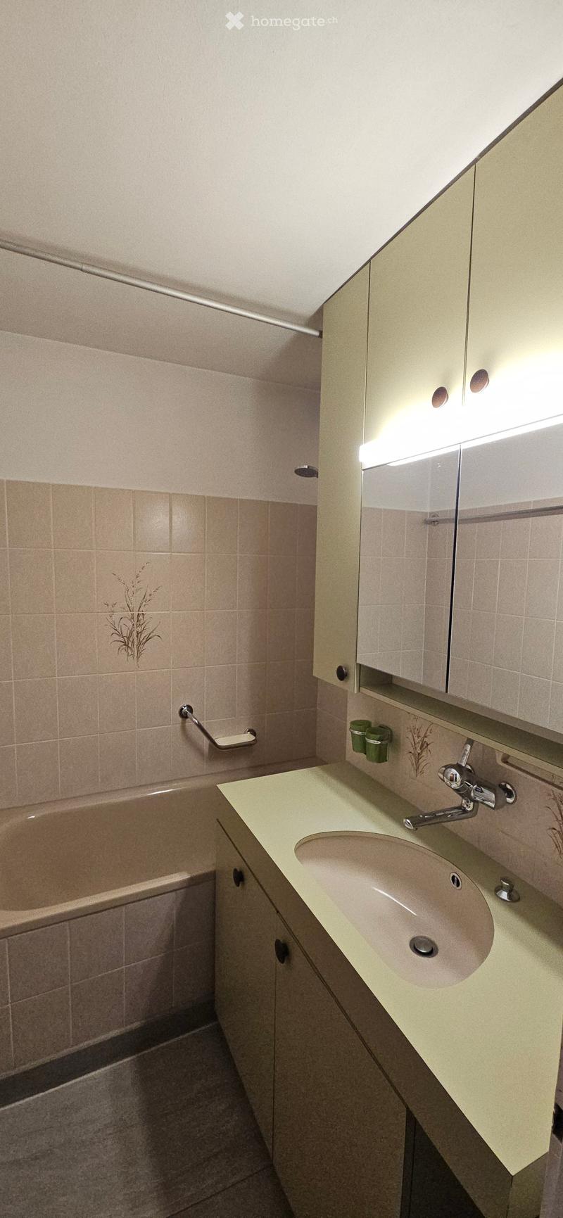 Bathroom with a sink, faucet, bathtub, and a cabinet with a mirror above it. The walls are tiled with a decorative plant design.