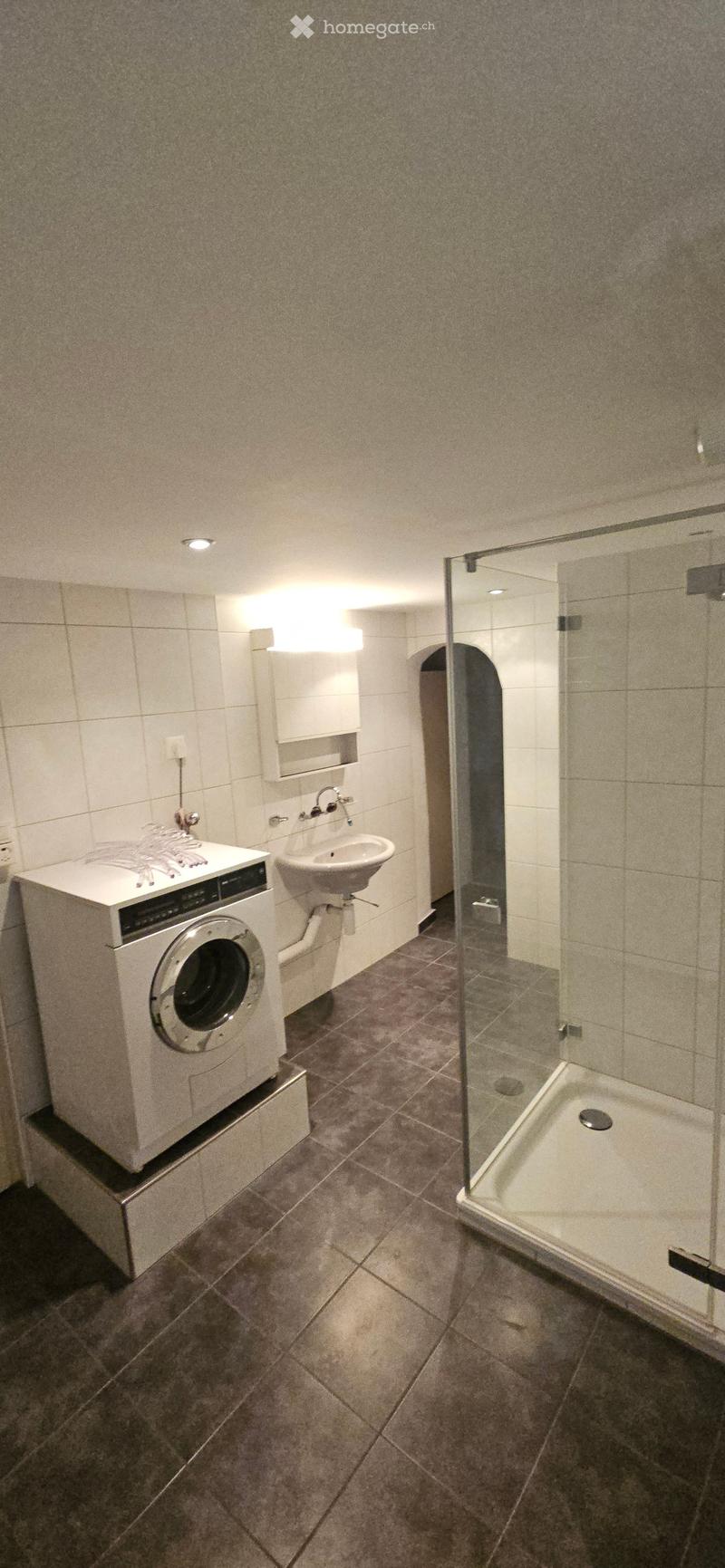 Modern bathroom with a washing machine, sink, mirror, and glass-enclosed shower. The walls are tiled, and the floor is made of dark tiles.