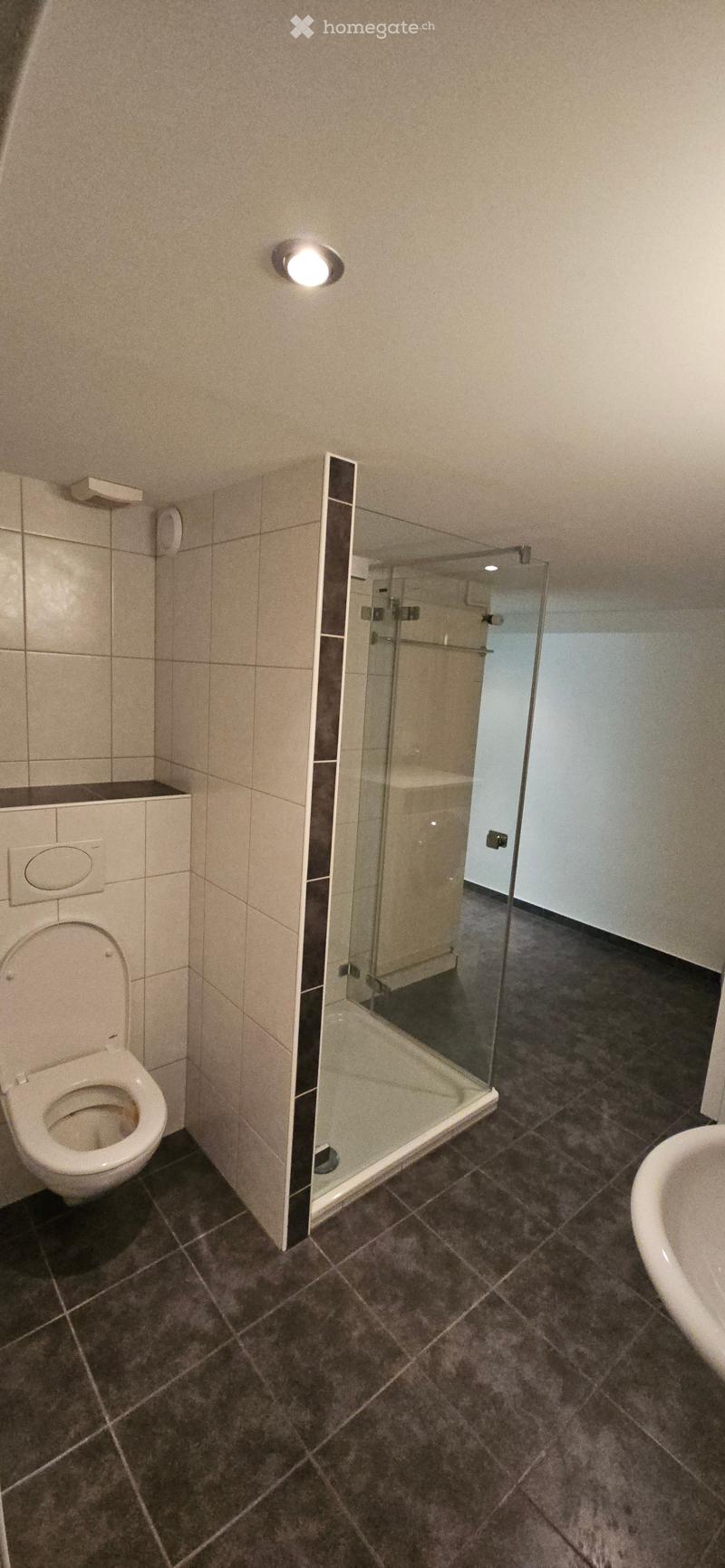 Modern bathroom with dark tiled floor, white toilet, glass-enclosed shower, and a white sink visible on the right side.
