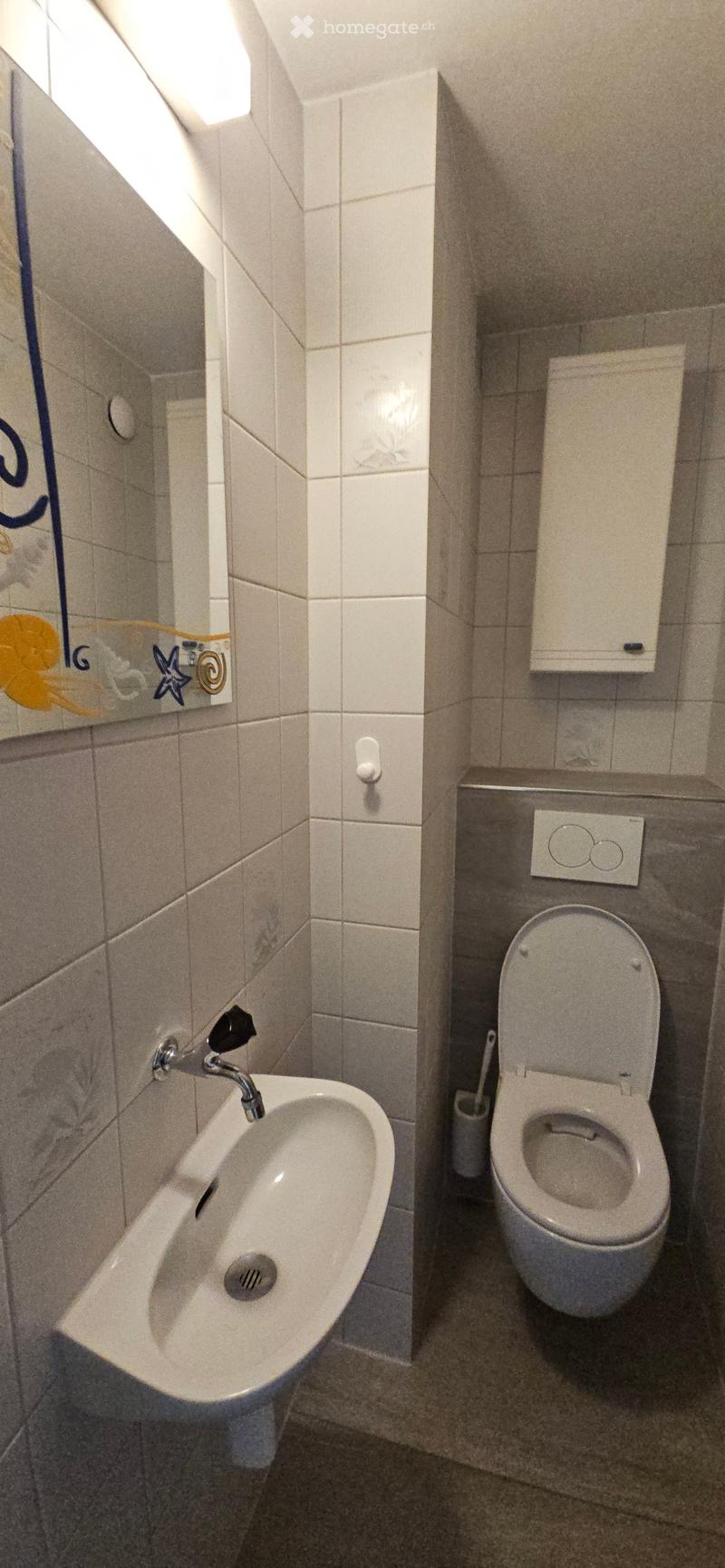 Small bathroom with a toilet, bidet, and toilet paper holder. The walls are tiled with a decorative mirror above the bidet.