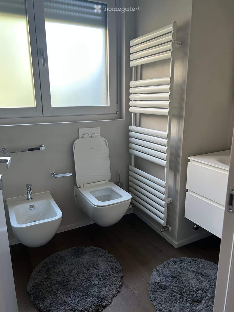 Modern bathroom with a toilet, sink, radiator, and two rugs on the floor.