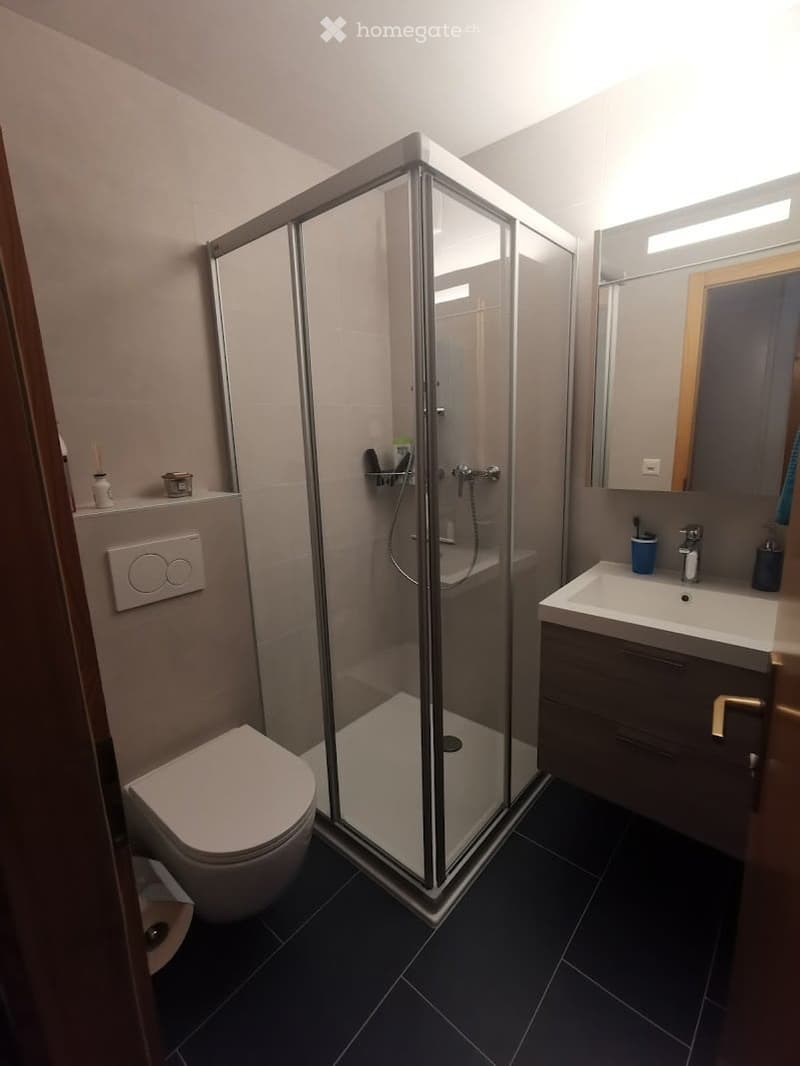 Modern bathroom with a glass-enclosed shower, toilet, sink with mirror, and dark tiled floor.
