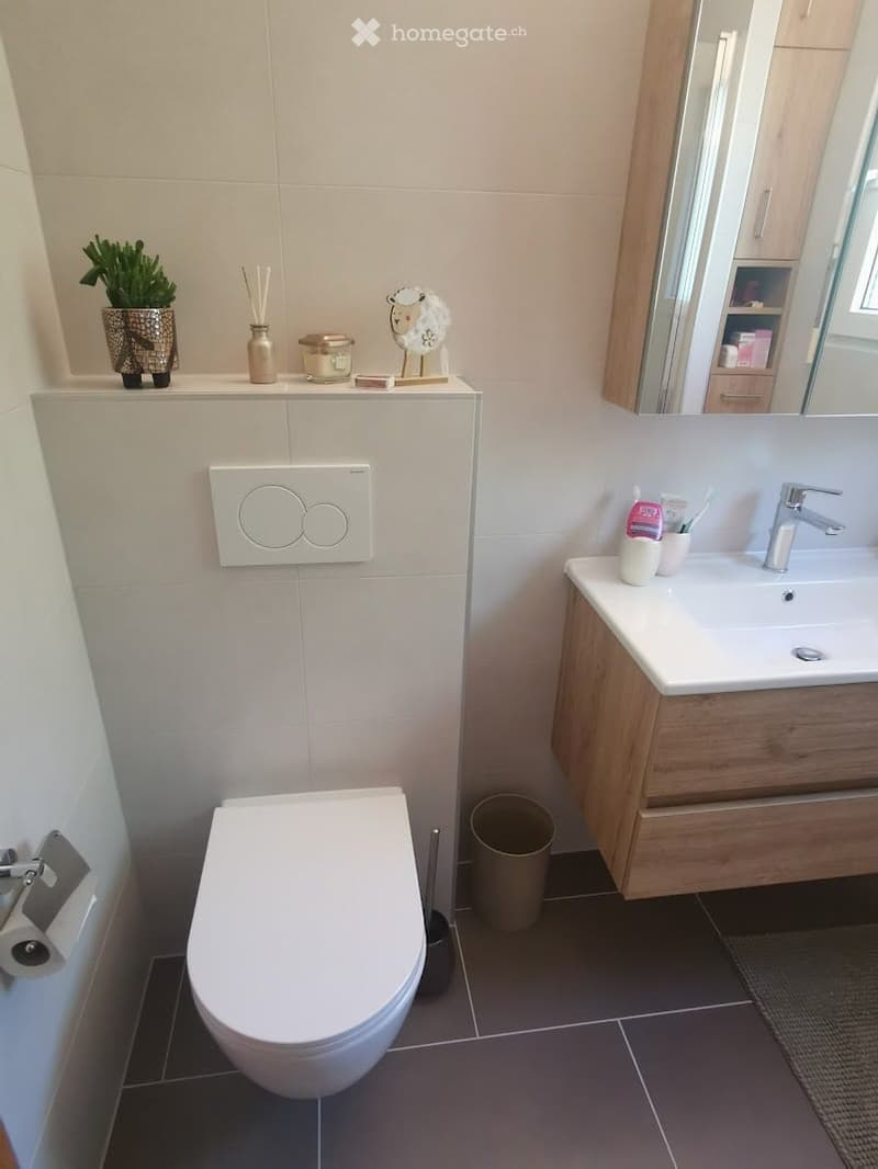 Modern bathroom with white tiles, a toilet, a sink with a wooden cabinet, a mirror, and decorative items on the shelf.