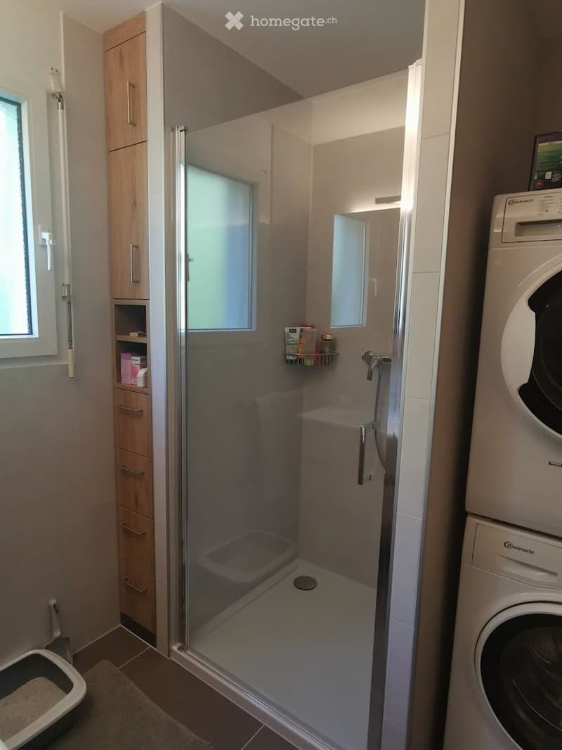 Modern bathroom with a glass-enclosed shower stall, wooden cabinet, washing machine, and a small cat litter box near the entrance.