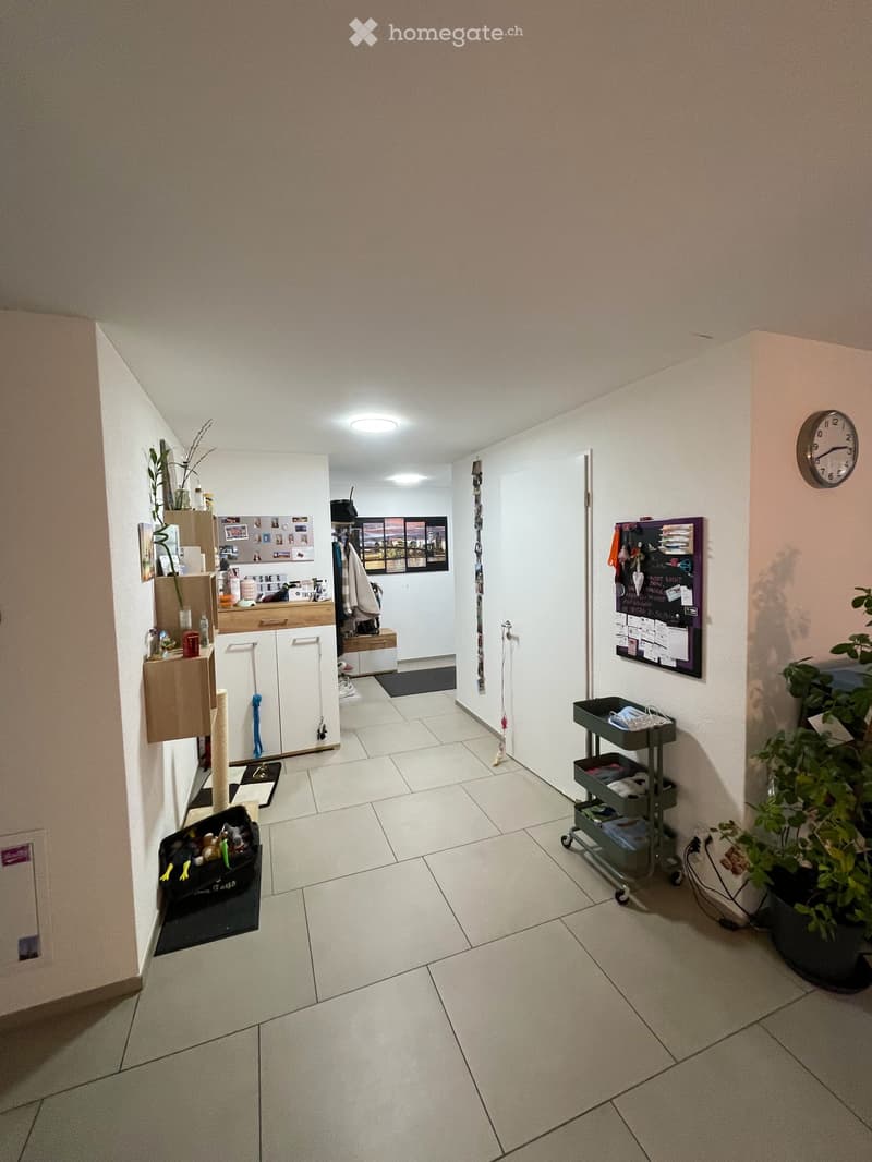 3.5-Zimmer-Wohnung mit Balkon im Bahnhof-Quartier Wetzikon (4)
