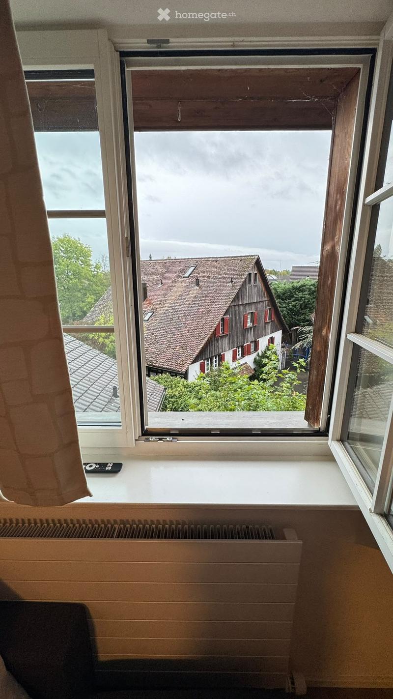 Window view of a traditional house with red shutters and a tiled roof, radiator below the window, and a remote control on the windowsill.