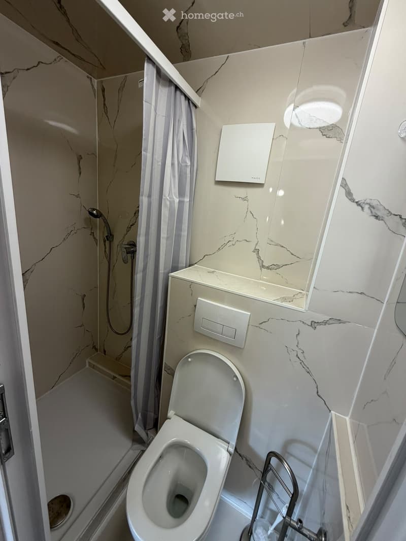 Modern bathroom with marble walls, a toilet, a shower area with a curtain, and a sleek faucet.