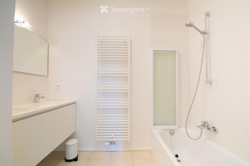 Modern bathroom with a bathtub, shower hose, sink, mirror, radiator, and a small trash bin.