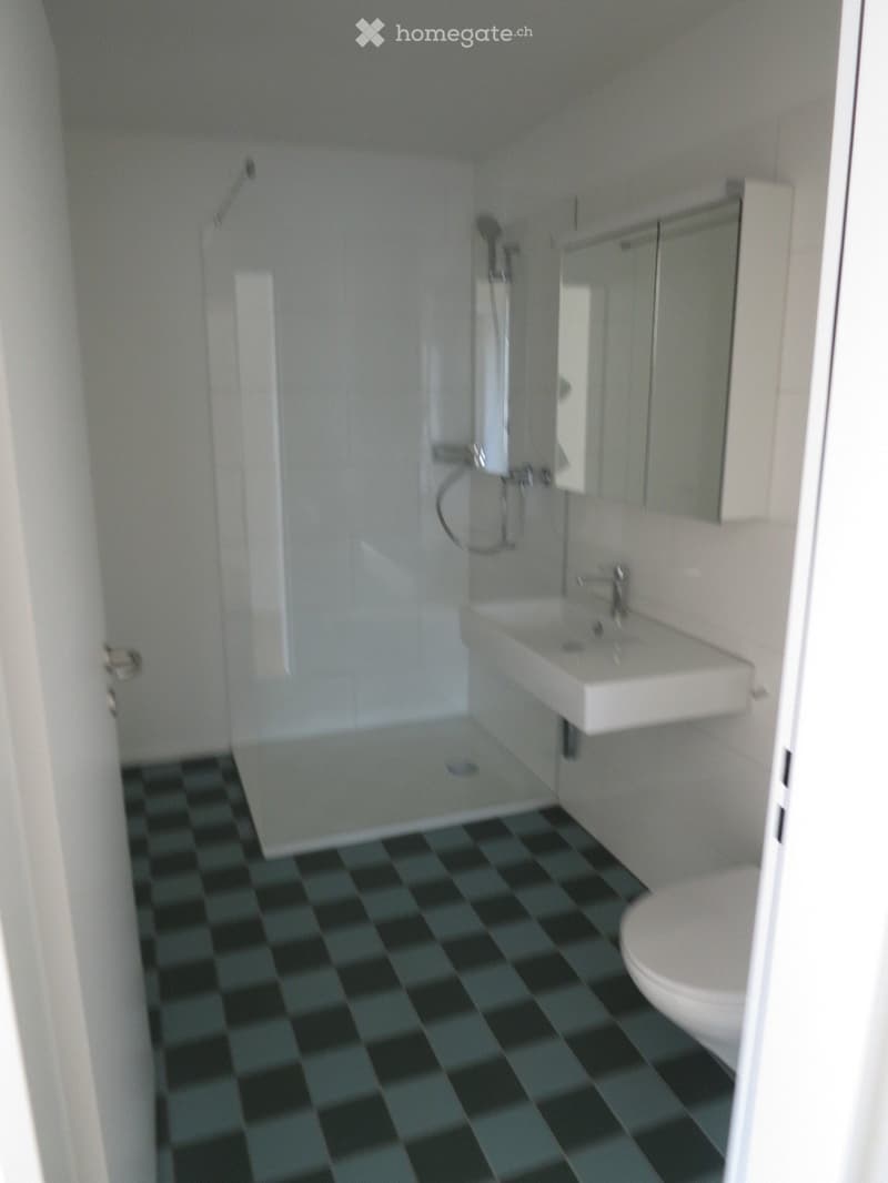 Modern bathroom with a black and white checkered floor, a white toilet, a sink with a mirror, and a glass-enclosed shower area.