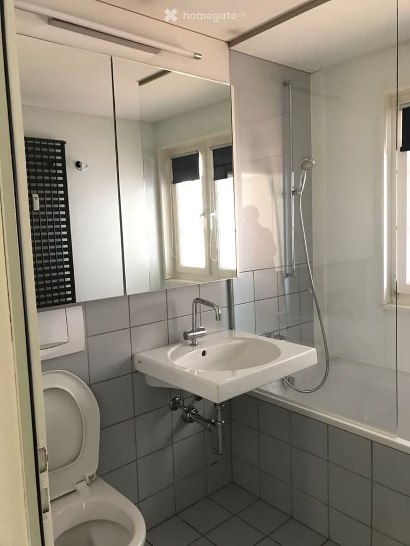 Modern bathroom with a white sink, chrome faucet, toilet, large mirror, and glass-enclosed shower area.