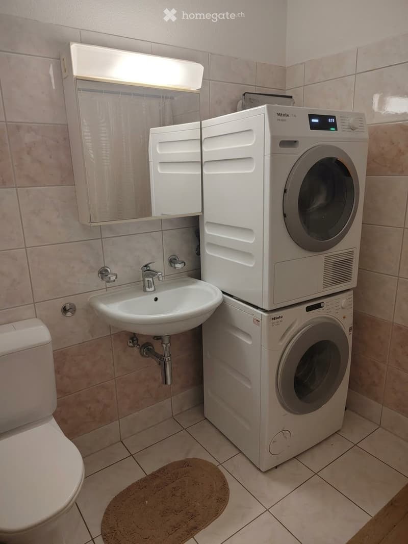 Bathroom with a toilet, sink, faucet, washing machine, mirror, and cabinet.