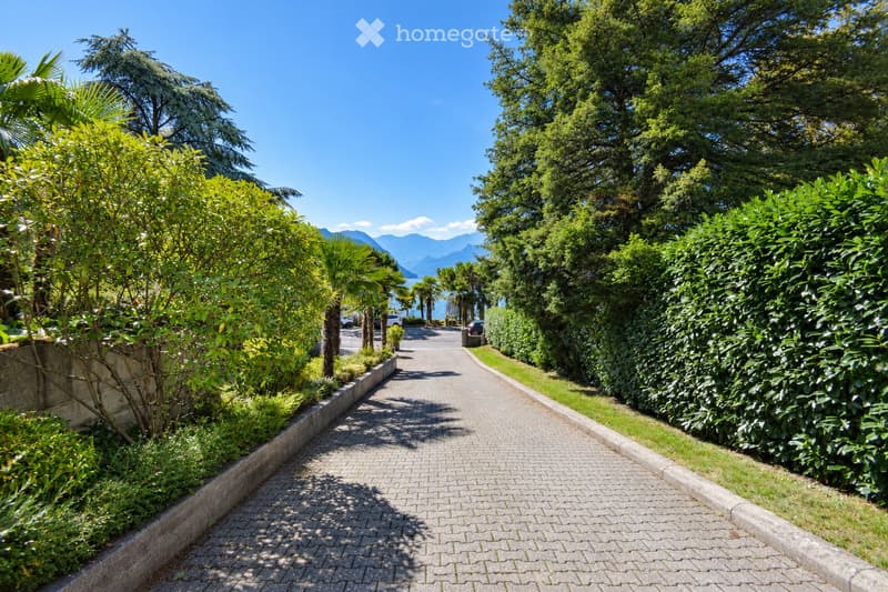 A paved pathway lined with lush greenery and trees, leading towards a scenic view of mountains and a body of water in the distance.