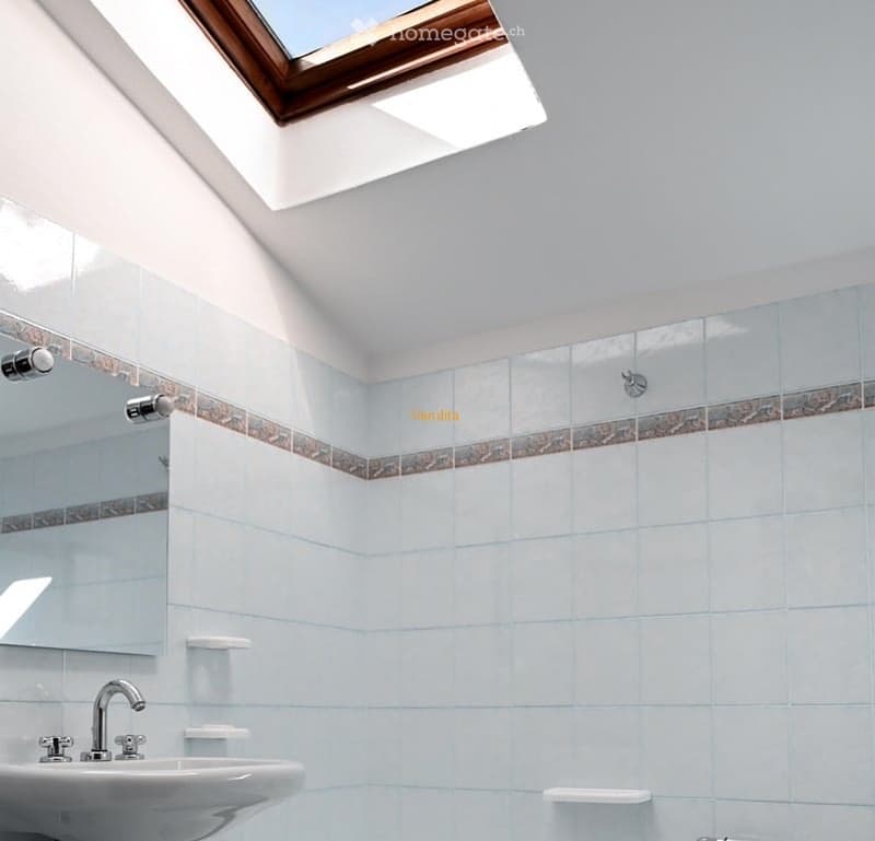 {"visible_features": ["Skylight"],"type": "Bathroom","description": "Bathroom with white tiles, a sink, and a skylight window in the ceiling."}