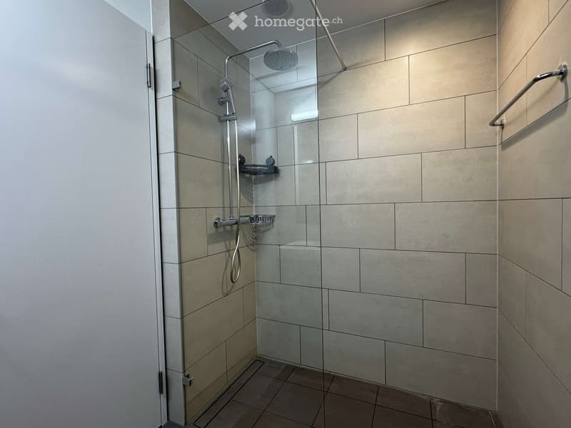 Modern shower area with glass enclosure, tiled walls and floor, handheld showerhead, and built-in shelves.
