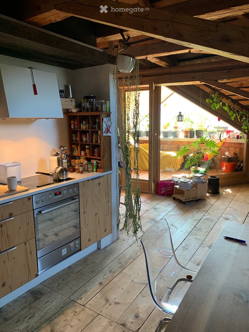 A cozy kitchen with wooden cabinets, a stainless steel oven, a stove, and a countertop with various kitchen items. A hanging plant adds a touch of greenery, and the space opens to a bedroom area with a bed and more plants.