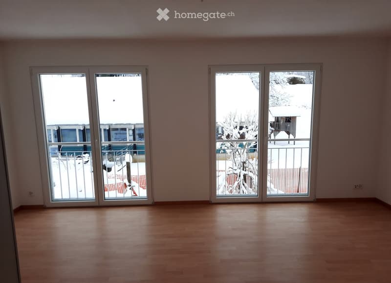 empty room, wooden floor, large glass doors, balcony, snowy view