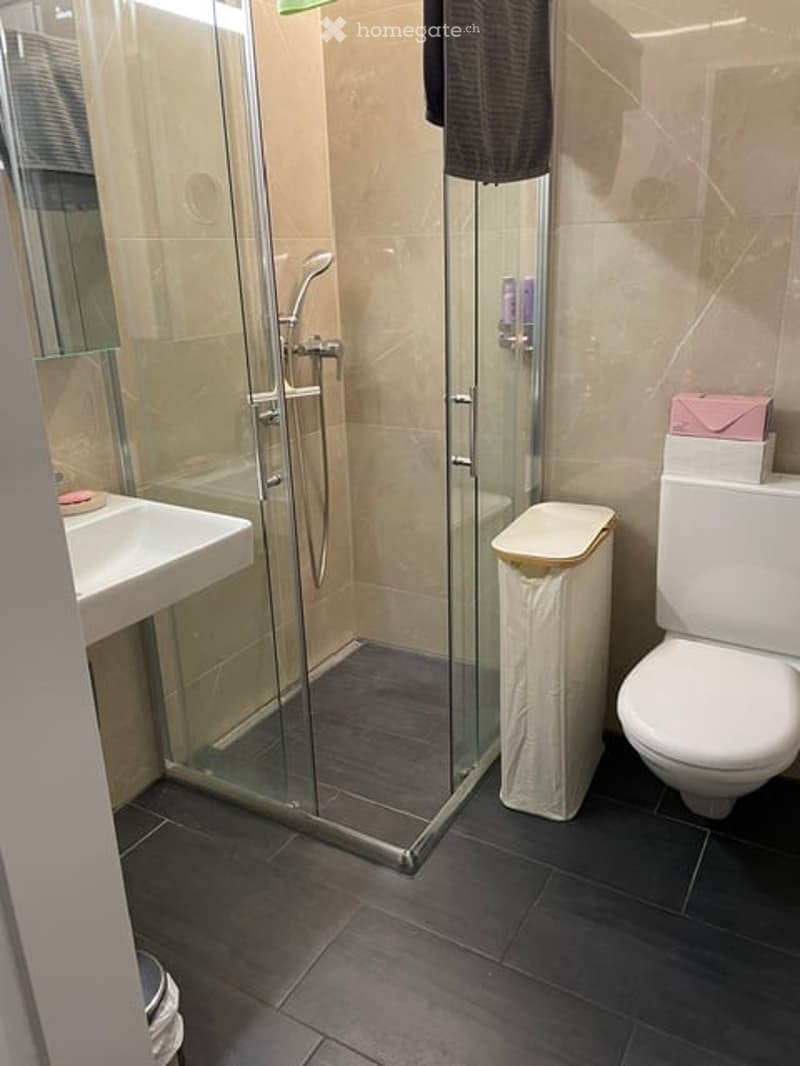 Modern bathroom with a glass-enclosed shower, white sink, toilet, and a trash bin. The floor is dark tiled, and the walls are light beige.