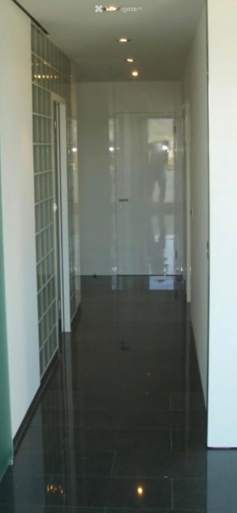 A modern hallway with dark tiled flooring, white walls, and recessed ceiling lighting. Features a glass door at the end and a glass-paneled wall on the left side.