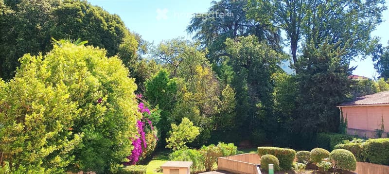 A well-maintained garden with various trees, shrubs, and flowering plants, including a prominent pink flowering bush and neatly trimmed hedges.
