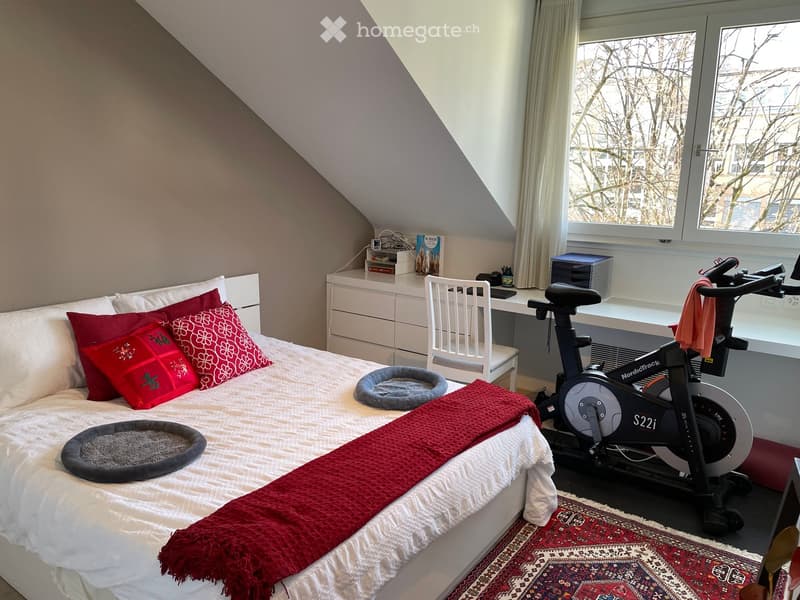 Cozy bedroom with a large bed, red pillows, a red blanket, a cat bed, a white chair, a desk, and an exercise bike near the window.