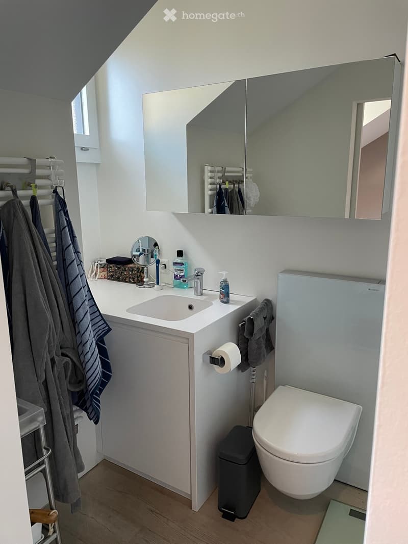 Modern bathroom with a white sink, mirror, toilet, towel rack, and various toiletries. The space features a sleek design with a wooden floor and a large mirror above the sink.