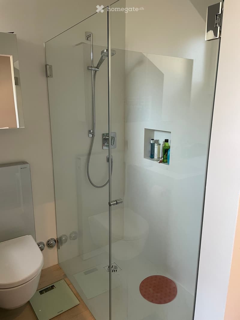 Modern bathroom with a glass-enclosed shower, toilet, and a built-in shelf holding toiletries. Includes a scale and a round bath mat inside the shower area.