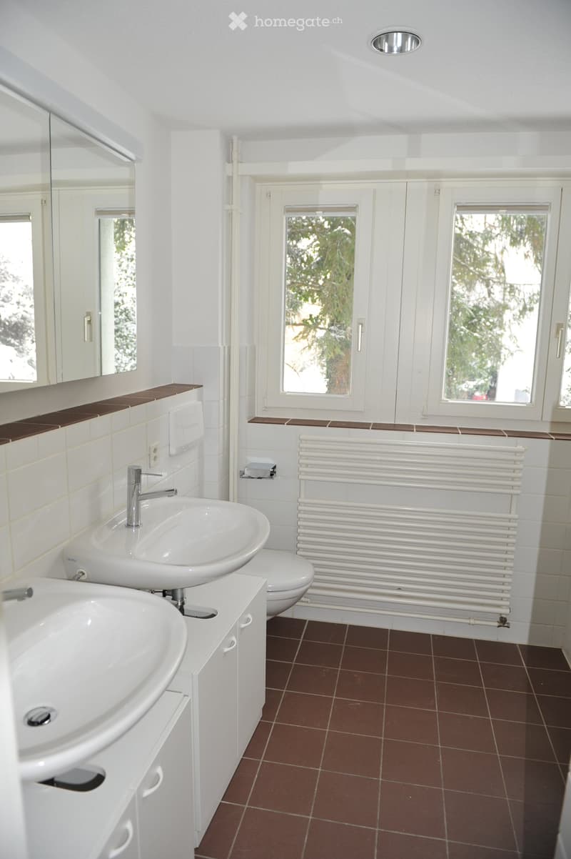 Modern bathroom with two sinks, a mirror, a radiator, and a toilet. The room features white tiles, brown accents, and large windows with a view of greenery.